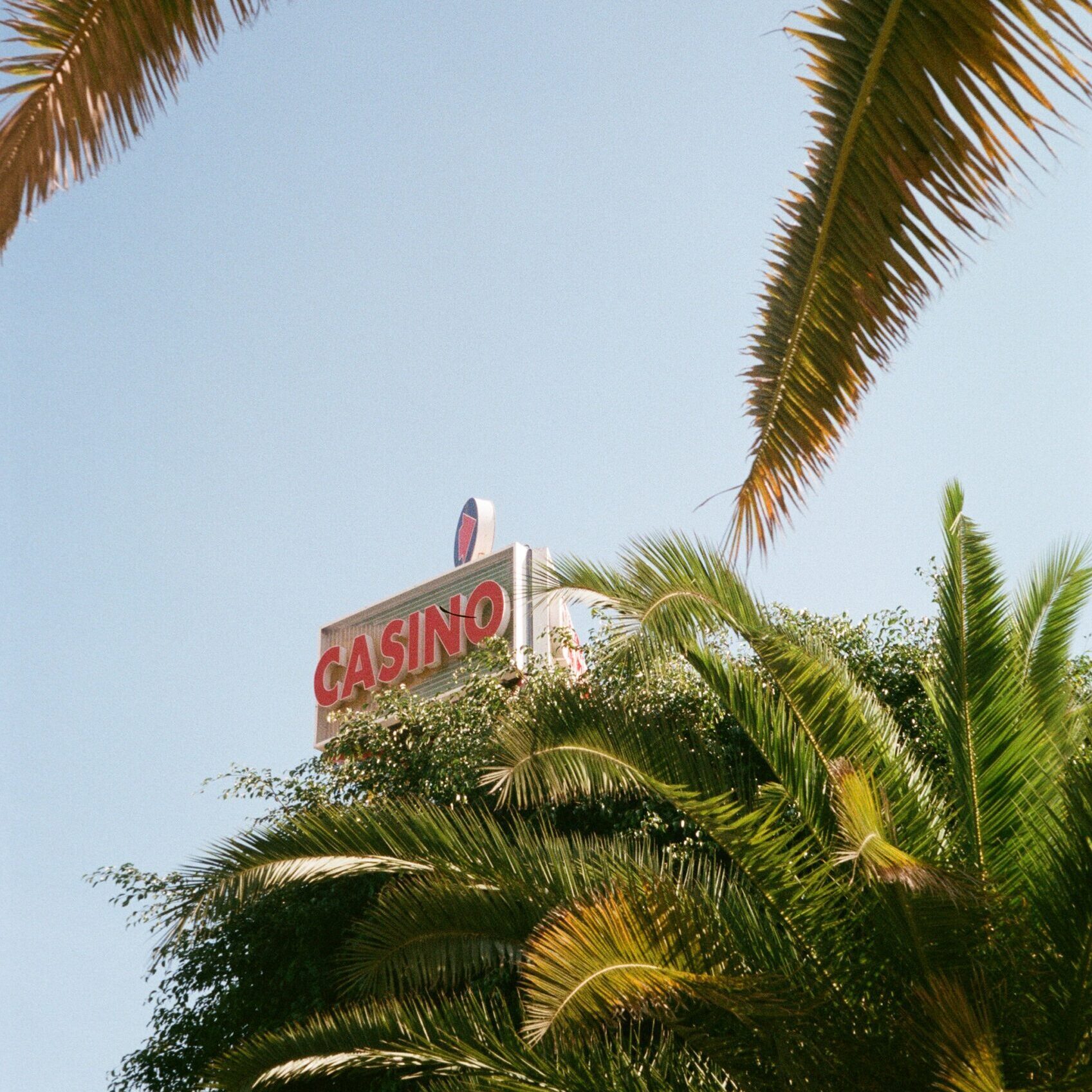 SebastianSteinwendtner_portfolio_5 SebastianSteinwendtner_portfolio_5